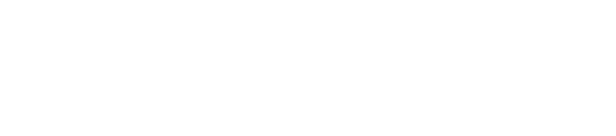 THE HYOOSIK